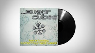 The Sugarcubes  Tidal Wave [upl. by Ahsinahs212]