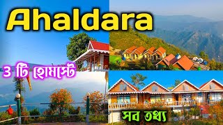 অহলদারা 3টি সেরা হোমস্টে  sitting tour plan  Ahaldara 3 best Homestay [upl. by Aikyt107]