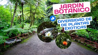 🤗 JARDIN BOTANICO FLORES EXOTICAS IMPRESIONANTES EL SALVADOR🏞️ [upl. by Wash215]