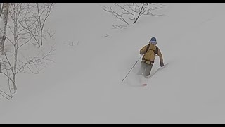 【テレマークスキー】January 14 2024 backcountry telemark skiing in Hokkaido Japan [upl. by Alemrac]