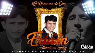 HOMENAJE A EDWIN ALCANTARA Mentiras Ya la perdi Volveras LLore y llore  DJ LEXS [upl. by Cinda713]