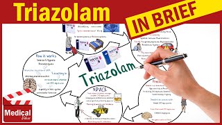 Triazolam Halcion What is Triazolam Used For Dose Side Effects Contraindications amp Precautions [upl. by Thaddus497]