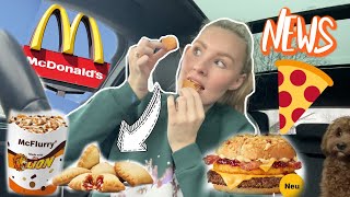 So lecker ODER NICHT 😍🍔 MC DONALDS NEWS im DEZEMBER 2023 Pizzataschen 🍕 Lion Mc Flurry amp Mehr [upl. by Grosmark]