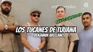 Los Tucanes de Tijuana  Benjamin Arellano🌲 [upl. by Faux763]