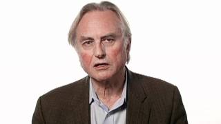 Richard Dawkins The Fact of Evolution [upl. by Denna]