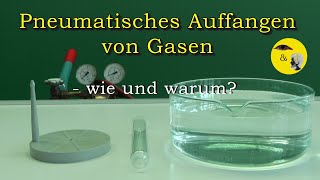 Pneumatisches Auffangen von Gasen  wie und warum [upl. by Sobmalarah]