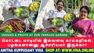 எங்கள் வீட்டு மாடித் தோட்டம்  Anitha Kuppusamy Maadi Thottam  Dr புஷ்பவனம் குப்புசாமி Terrace [upl. by Calvo371]