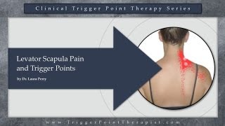 Levator Scapula Pain and Trigger Points [upl. by Lehplar]