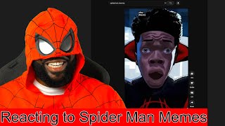 Reacting to Funny Spider Man Memes [upl. by Zehe]