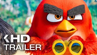 The Angry Birds Movie 2  Behind the Hatchlings adventures [upl. by Ilehs]