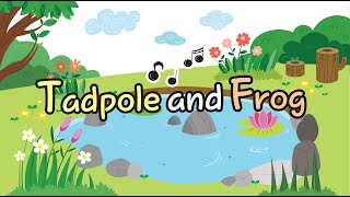 Tadpole and Frog  Tadpole Song  English Kids Songs  COMICOMI [upl. by Adriana]