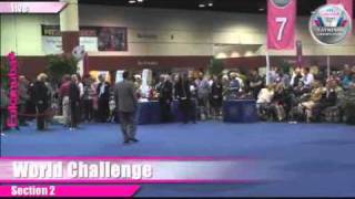 Eukanuba World Challenge 2011 Section Prelims 121711 [upl. by Leff547]