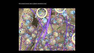 3D Animation of a Synapse [upl. by Antrim]