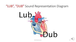 STUDY OF PHONOCARDIOGRAM [upl. by Fionnula]