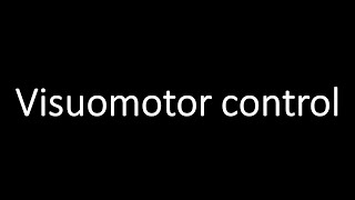 Visuomotor control [upl. by Jairia]