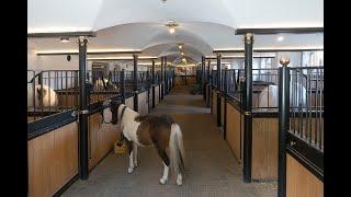 ASMRAMBIENCE Horse Stables Ambience Sounds  1 HOUR [upl. by Ahsilla]