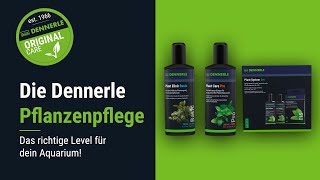 Die Dennerle Pflanzenpflege Das richtige Level für dein Aquarium  DENNERLE [upl. by Etnaed]