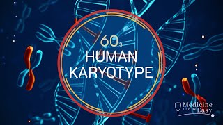 Genetics in 60 seconds Human Karyotype [upl. by Carmita]