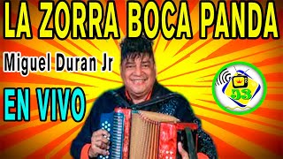 La Zorra boca panda  MIGUEL DURAN Jr  EN VIVO [upl. by Enomsed]