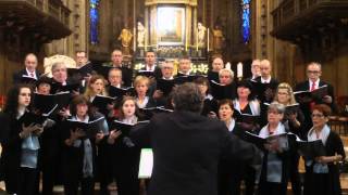 G Aichinger  Regina caeli laetare  mottetto a 4 voci miste [upl. by Tiebold]