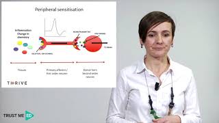 What is peripheral sensitization [upl. by Yorgerg]