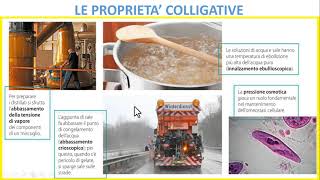 LE PROPRIETA COLLIGATIVE DI UNA SOLUZIONE [upl. by Toblat]