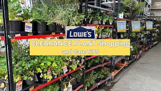 Shop with me for LOWES Clearance Plants and CARE TIPS [upl. by Phillip]