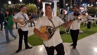 בוזוקי לייב מנגנים quotגינטהquot בקבלת פנים Ginete bouzouki live version [upl. by Nylle]