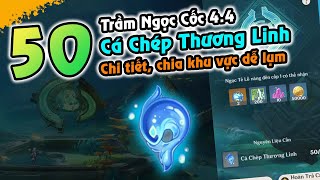 GI 44  Chi tiết 50 Cá Chép Thương Linh  Nâng full Nghi Thức Mưa Ngọc [upl. by Arakahs]