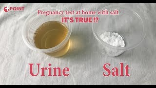 Pregnancy Test At Home  Home Pregnancy Test With Salt  Its True [upl. by Jack413]