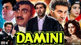 Damini Full Movie Review amp Facts  Sunny Deol  Meenakshi Seshadri  Rishi Kapoor  Amrish Puri [upl. by Brazee]