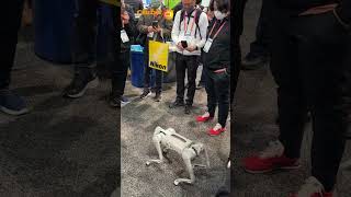 Meet the Unitree Go1 robotic pet dog as seen at CES 2023 [upl. by Rusell950]