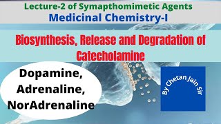 Catecholamine Biosynthesis Release and Metabolism or Catabolism of Adrenaline Noradrenaline [upl. by Tito]