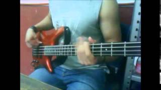 Los Concorde Rompecabezas Bass Cover [upl. by Marl491]