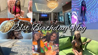 21st Birthday Vlog Solo Trip to Houston🥳 [upl. by Elurd975]