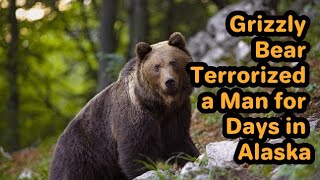 A Grizzly Bear Attack Terrorized a Man for Days in Alaska The Coast Guard Saw His SOS [upl. by Carmelle]