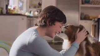 Beneful commercial with Phoebe from Shell [upl. by Laram]