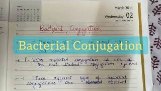 Bacterial Conjugation [upl. by Razec]