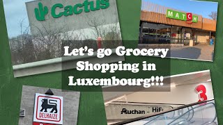 Grocery Shopping in Luxembourg What Stores to go to CACTUSAUCHAN MATCH PROXY DELHAIZE [upl. by Goldina109]