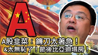 【比亞迪塌房了😂人們為什麼痛恨比亞迪？】A股已經收割了第一波韭菜！明天將輪到第二波！｜一樁不建，雙槍充電！充電土匪比亞迪！｜為什麼買特斯拉就是不愛國😂 [upl. by Domenic4]