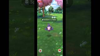 Catching shiny spritzee in the wild pokemongo [upl. by Htebsle]