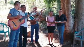 Bárbaro el tío Alfonso en el violin setitula alas 4 copas rompí la botella [upl. by Hannej919]