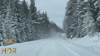 Heavy Snowstorm In Sweden  Swedish Landscapes 13°C [upl. by Saint]