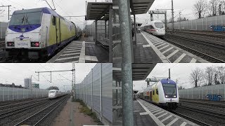 Bahnverkehr im Bahnhof WinsenLuhe mit ICE 1ampT Metronom Br 146Dostos und Güterzug [upl. by Cuthbert900]