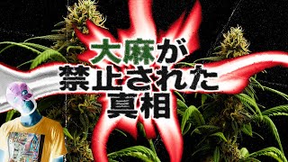 【闇深】なぜ禁止にされた？大麻の歴史を徹底解説。胸糞な真実 [upl. by Ahsemac461]