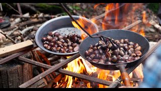 Cómo hacer castañas asadas 3 métodos Sartén horno y microondas [upl. by Zashin978]