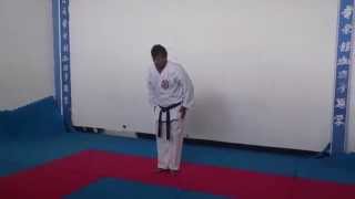 Kata 2  Pinan Shodan [upl. by Lever]