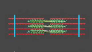 How a muscle contraction is signalled  Animation [upl. by Ardussi75]