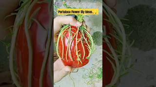 Portulaca plant decoration ideas reuse reusebottle diyplanter diy craftvideos shortsytshorts [upl. by Fawne]