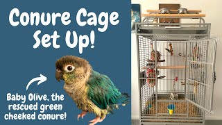 How to Set Up Your Conures Cage  Parrot Cage Tour  BirdNerdSophie AD [upl. by Dnalkrik]